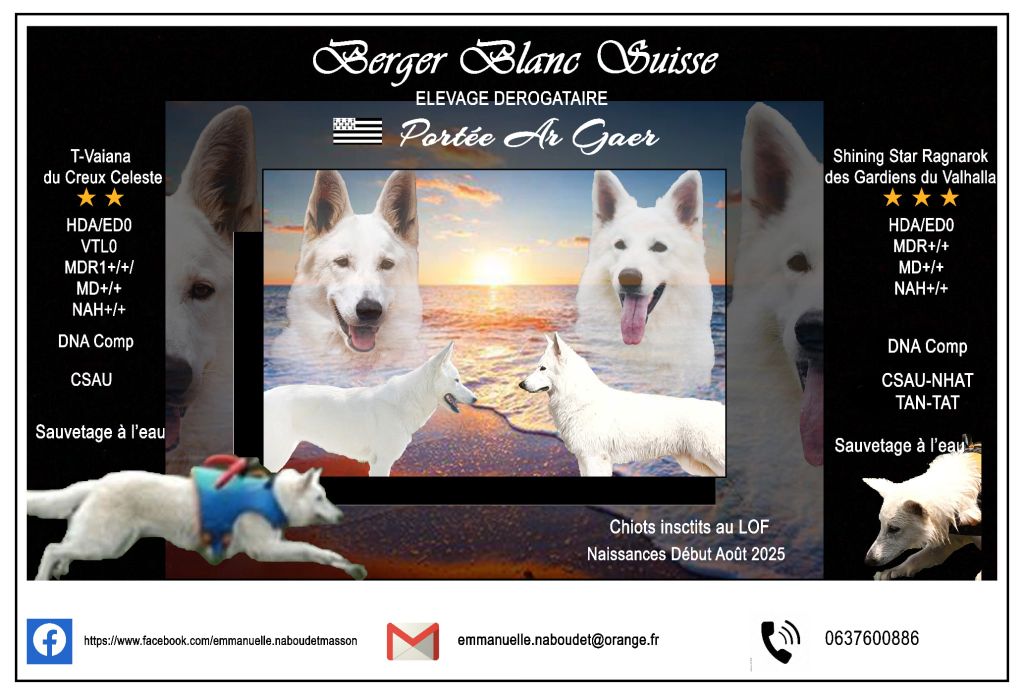 Des Loups Du Gardoire - portée Ar Gaer